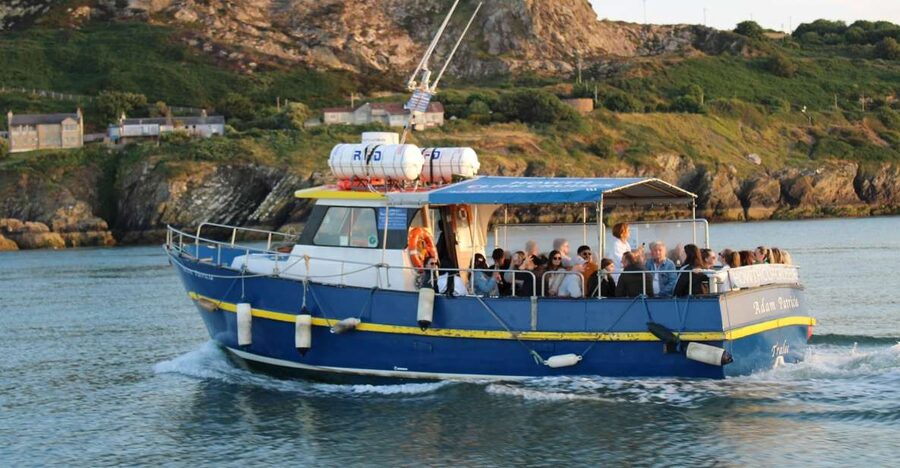 Dublin: Howth Cliffs and Lighthouse Cruise - Practical tips for a better ride