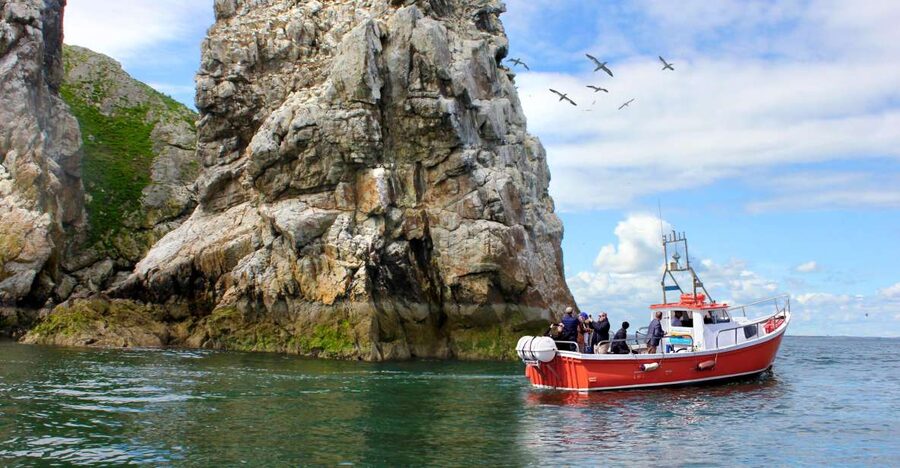 Dublin: Howth Coastal Boat Tour - Simple planning tips for a better ride