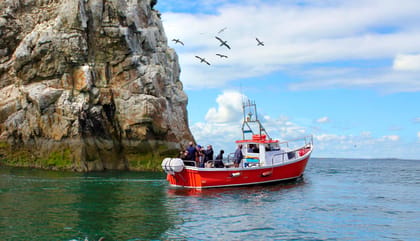 Dublin: Howth Coastal Boat Tour - Why a short Howth boat ride works so well