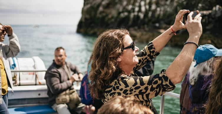 Dublin: Howth Coastal Boat Tour - Leaving the harbor and meeting your guide
