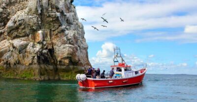 Dublin: Howth Coastal Boat Tour