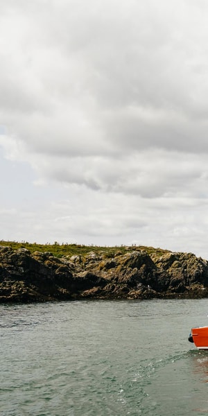 Dublin: Howth Coastal Boat Tour - Who will enjoy this most