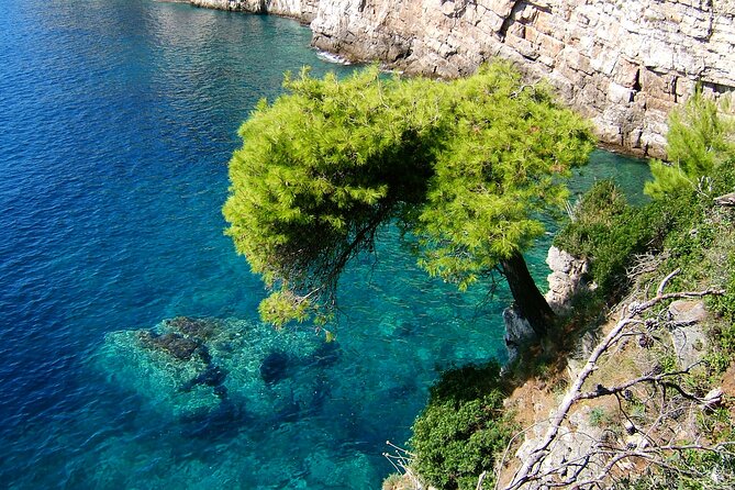 Dubrovnik: 3 Islands Boat Tour with Lunch & drinks(FR, ES, EN) - Who should book this island day