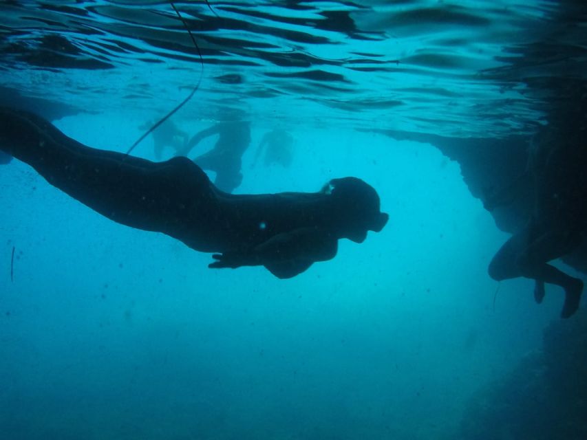 Dubrovnik: Blue Cave & Sunj Beach Boat Tour with Drinks - A half-day on the Elaphiti Islands