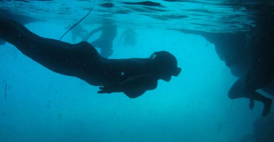 Dubrovnik: Blue Cave & Sunj Beach Boat Tour with Drinks - Leaving Dubrovnik by speedboat