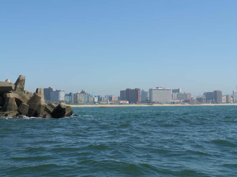 Durban: 1-Hour Boat Cruise from Wilson's Wharf - Who will enjoy this cruise most?
