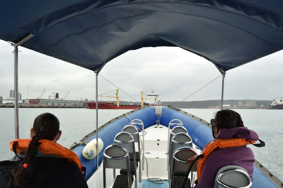Durban: 1-Hour Boat Cruise from Wilson's Wharf - What the guide adds to the hour