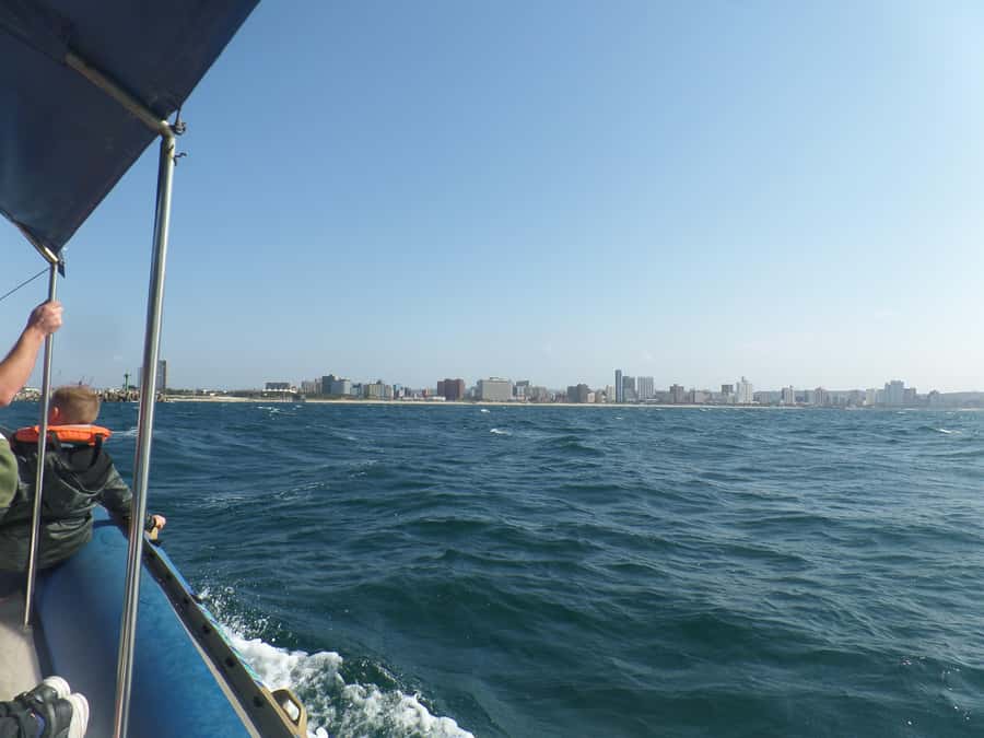 Durban: 1-Hour Boat Cruise from Wilson's Wharf - Is $11 good value?