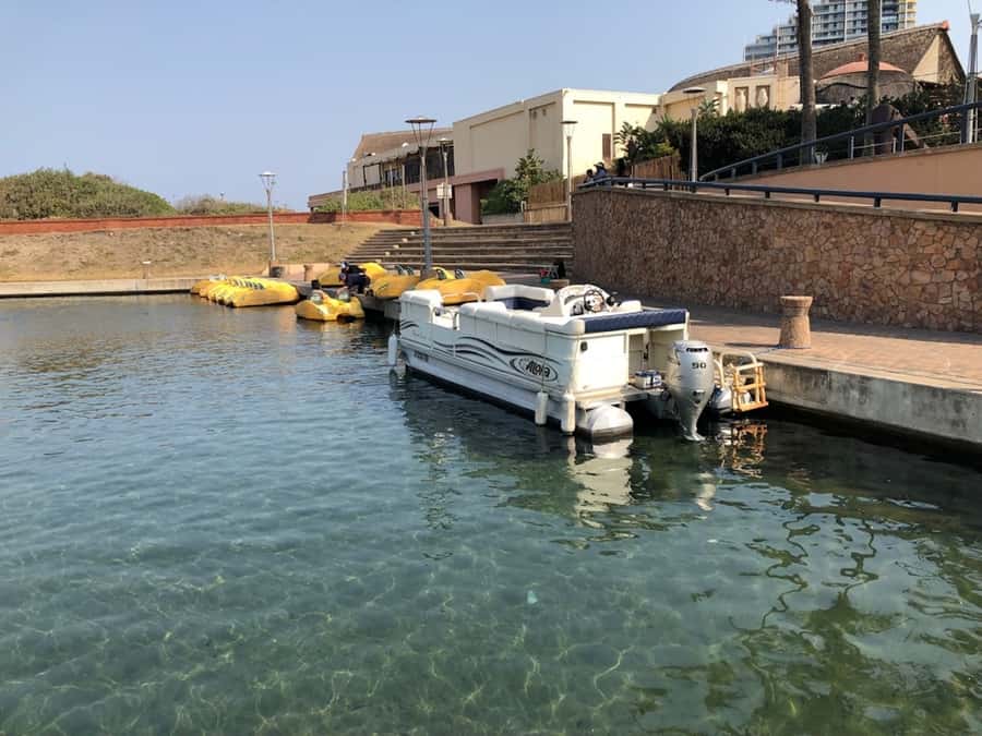 Durban Point Waterfront: Luxury Canal Boat Cruise - Key points to know before you go