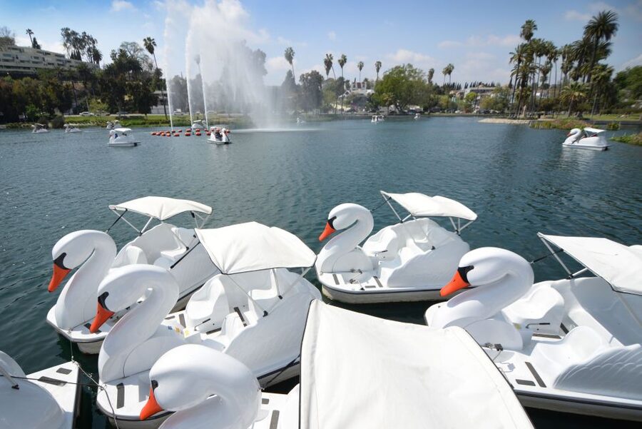 Echo Park Lake: Swan Pedal Boat Rental - Getting used to the pedals and steering