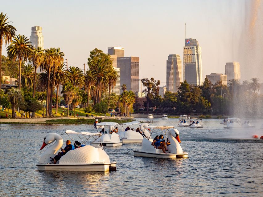 Echo Park Lake: Swan Pedal Boat Rental - Wildlife and the Find and Seek game