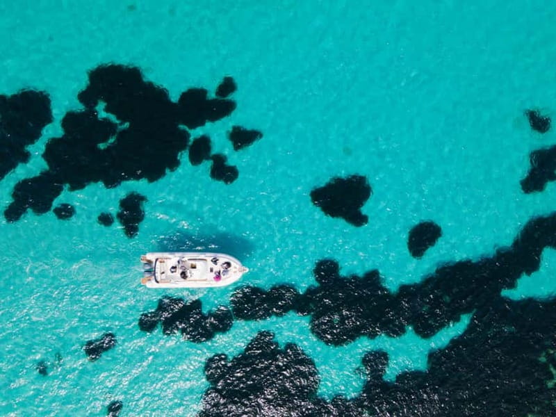 Egadi Boat Experience: Favignana & Levanzo from Trapani - Cala Azzurra, Blue Marino, and Cala Rossa