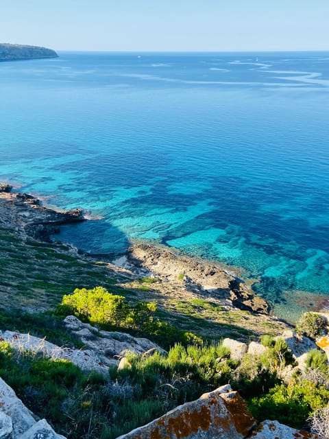 El Arenal: Private Mallorca Boat Rental (No License Needed) - Timing, weather, and a smoother outing