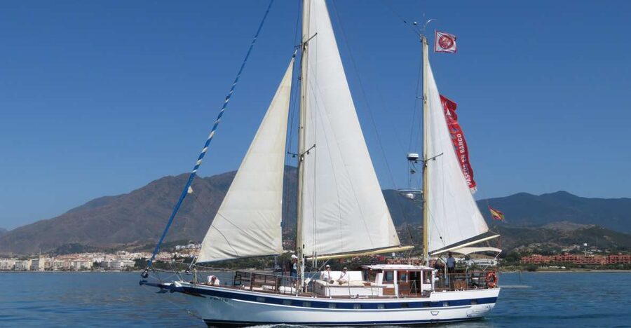 Estepona: Dolphin Watching Sailboat Cruise with Drink - Setting out from Puerto de Estepona