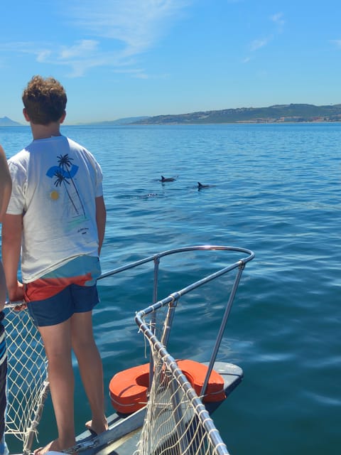 Estepona: Dolphins Searching Sea Cruise with Drink & Snacks - Should you book the Estepona dolphin cruise?