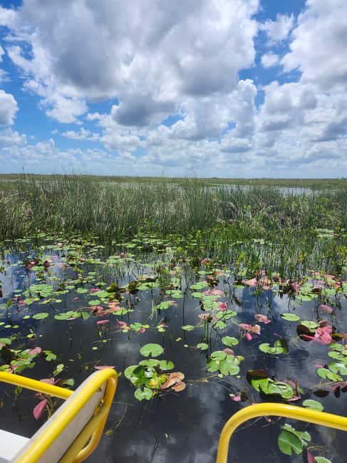 Everglades Eco Airboat Small-Group Tour & 2 Private Islands - A small boat in the real Everglades