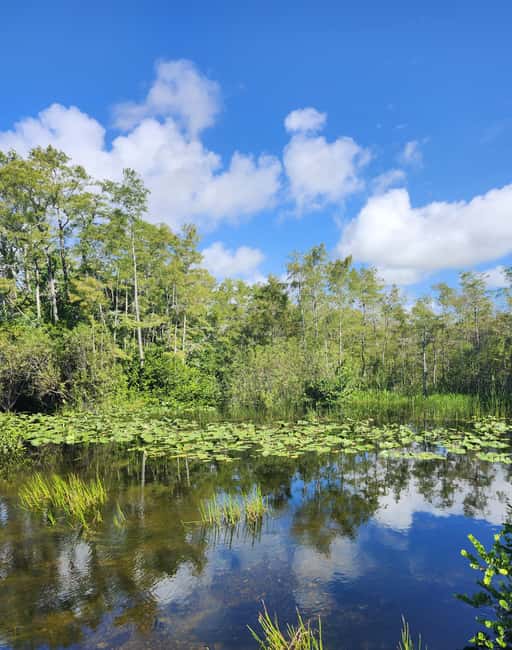 Everglades Eco Airboat Small-Group Tour & 2 Private Islands - Leaving Miami in a Suburban or Sprinter
