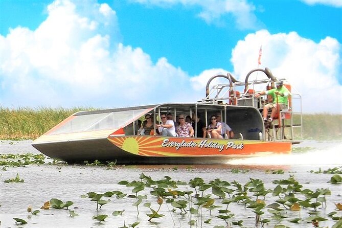 Everglades Holiday Park Airboat Tours & Rides - Alligators are the headline, but look beyond them