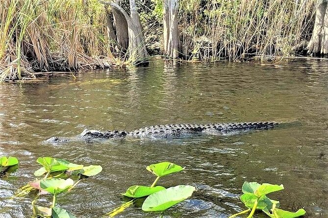 Everglades Holiday Park Airboat Tours & Rides - Cancellation and booking advice