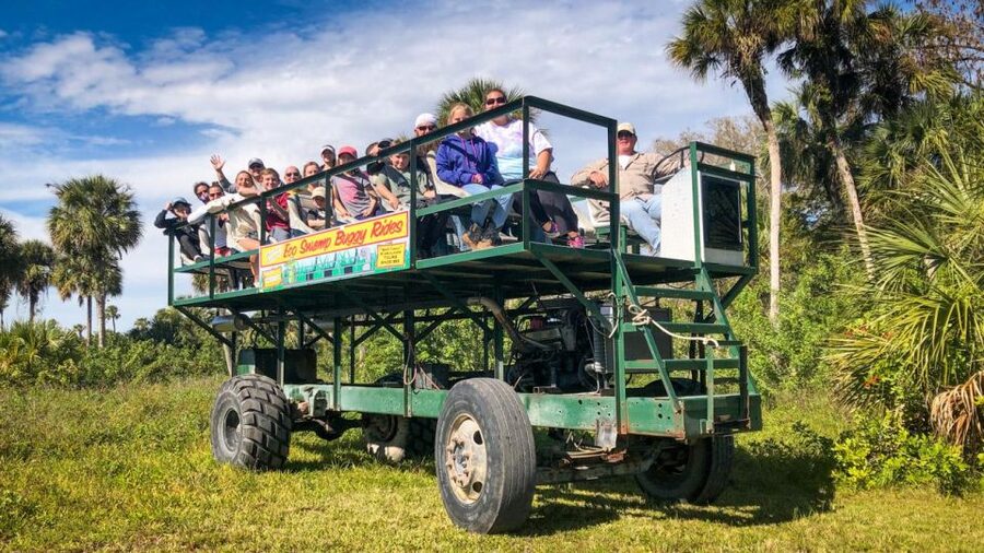 Everglades: Mangrove Maze Airboat Tour and Boardwalk - The airboat ride through Jungle Erv’s mangroves