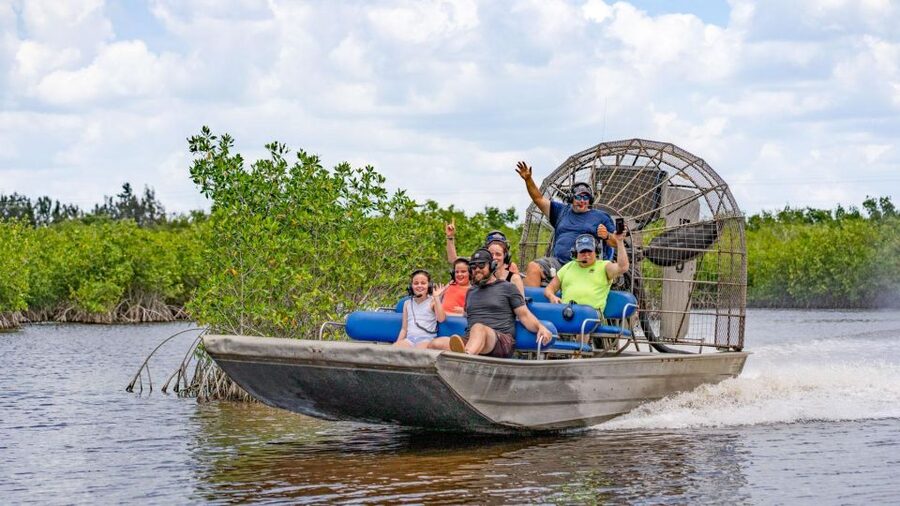 Everglades: Mangrove Maze Airboat Tour and Boardwalk - Wildlife spotting without false promises