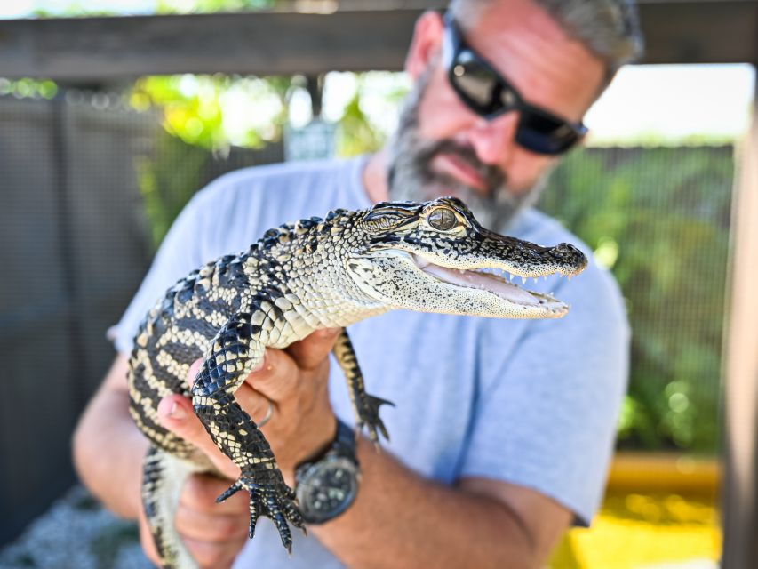 Everglades: Sawgrass Park Day Time Airboat Tour & Exhibits - Key points to know