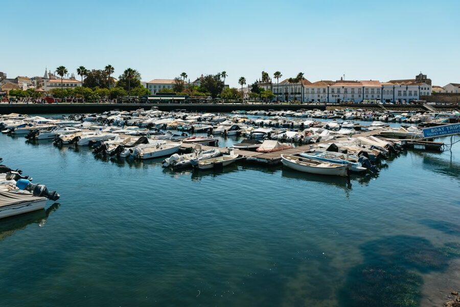 Faro: Deserta Island and Farol Island Catamaran Boat Trip - Key points to know before you book