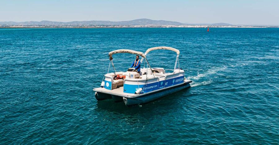 Faro: Deserta Island and Farol Island Catamaran Boat Trip - One hour on Farol Island