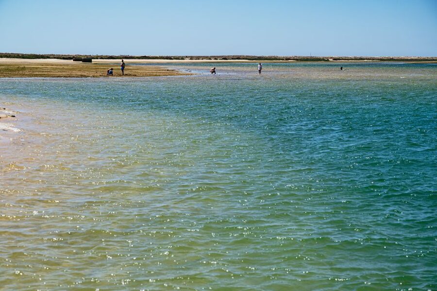 Faro: Deserta Island and Farol Island Catamaran Boat Trip - Up to 30 minutes on Deserta Island