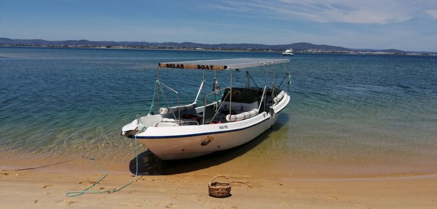 Faro: Eco-Friendly Ria Formosa Bird Watching in Solar Boat - Is $47 a fair price?