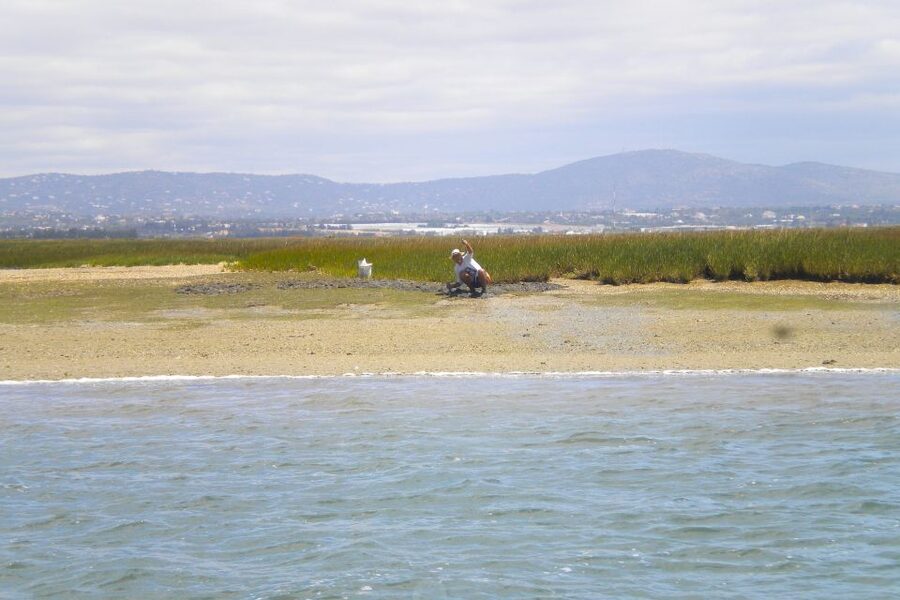 Faro: Ria Formosa Lagoon Small Boat Tour with Local Guide - Should you book the Ria Formosa boat tour?