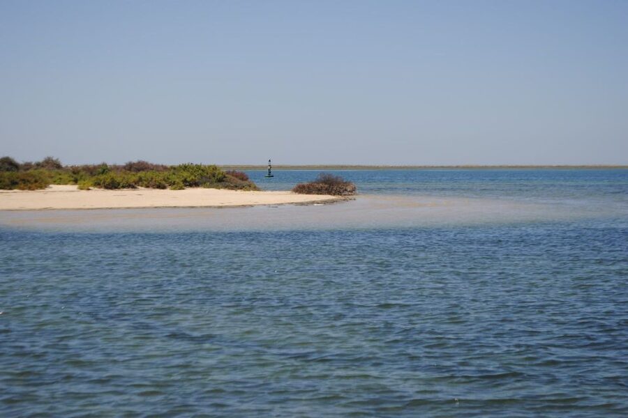 Faro: Ria Formosa Lagoon Small Boat Tour with Local Guide - Is one hour enough?