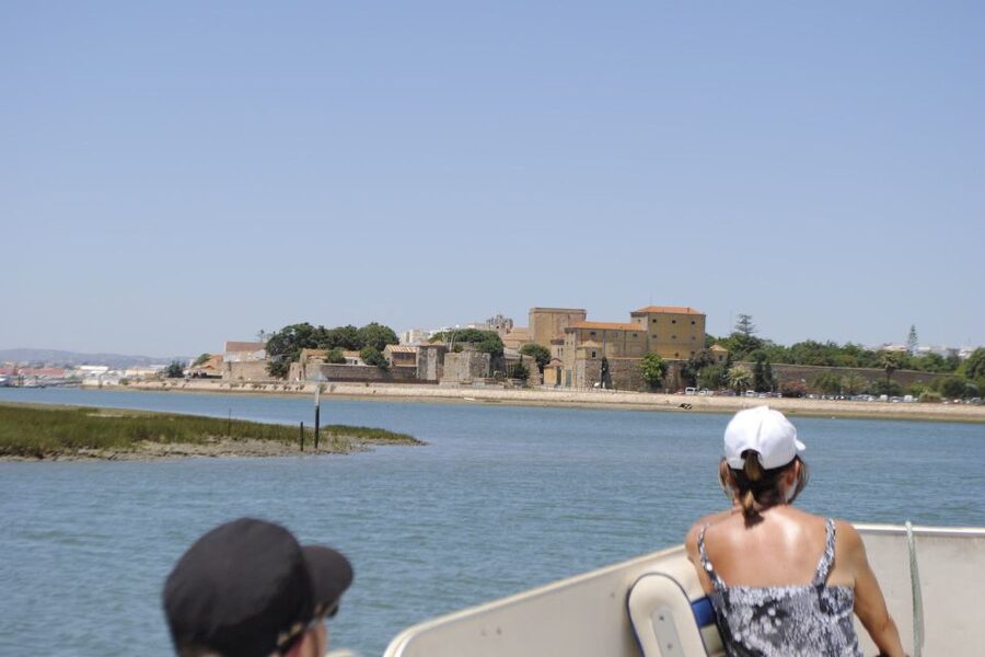 Faro: Ria Formosa Lagoon Small Boat Tour with Local Guide - Channels, marshes, and protected wildlife