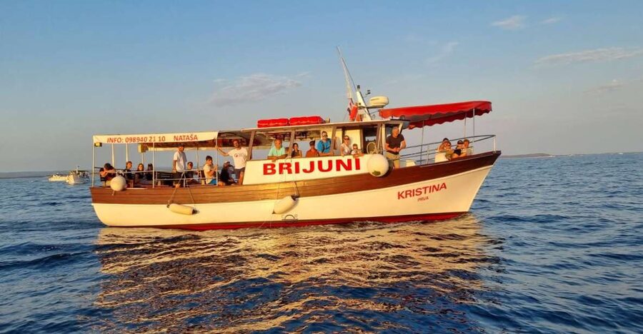 Fazana: Guided Dolphin Watching Sightseeing Cruise at Sunset - Should you book it?