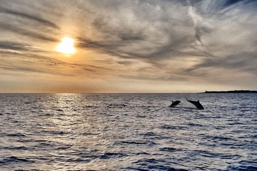 Fazana: Guided Dolphin Watching Sightseeing Cruise at Sunset - Brijuni waters and the changing evening light