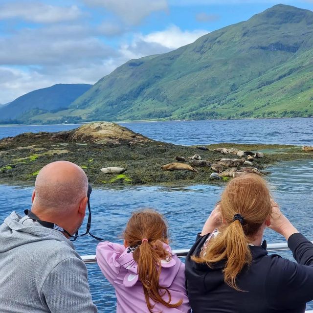 Fort William: Seal Island Boat Tour - Watching seals at Black Rock