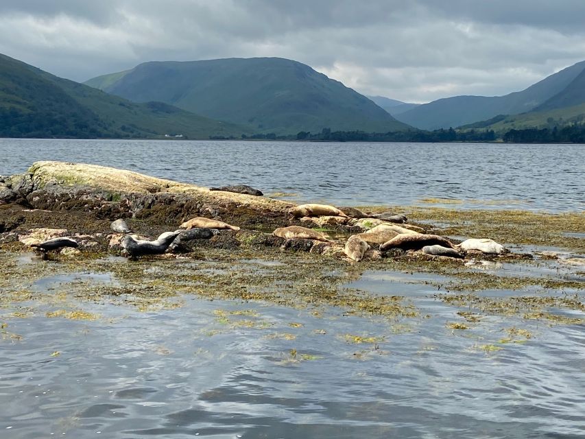 Fort William: Seal Island Boat Tour - Who will enjoy this Loch Linnhe cruise?