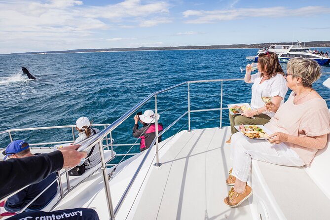 Freedom 3/4 Day Hervey Bay Premium Whale Watching Cruise - What makes this cruise worth your time