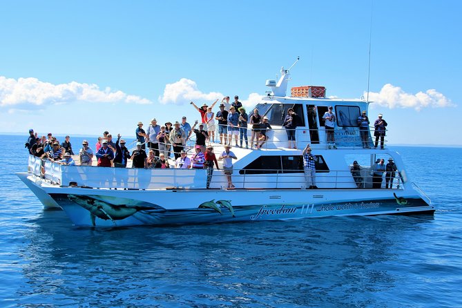 Freedom 3/4 Day Hervey Bay Premium Whale Watching Cruise - A full morning in the Great Sandy Marine Park