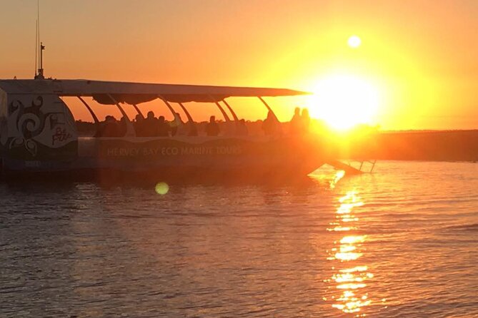 Freedom 3/4 Day Hervey Bay Premium Whale Watching Cruise - Why the three-quarter-day format matters