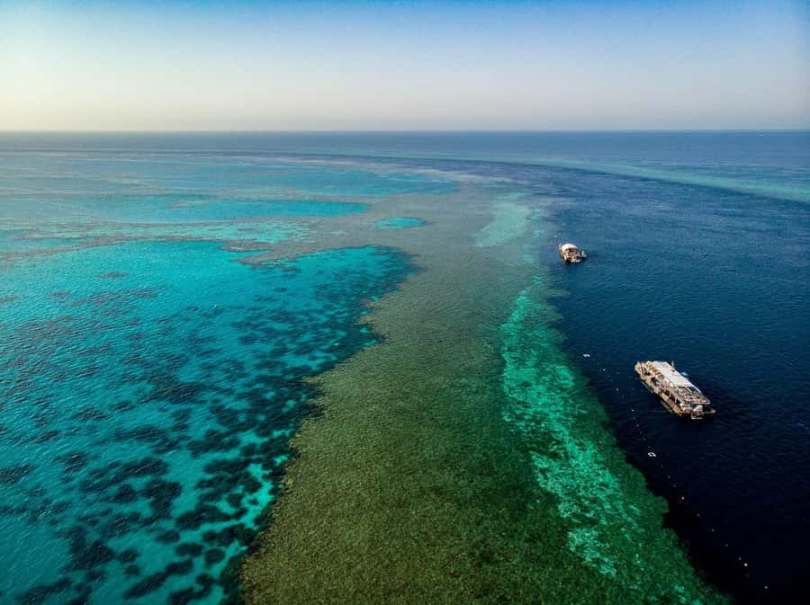 From Airlie Beach: Great Barrier Reef Adventure Cruise - The long run from Airlie Beach to Hardy Reef