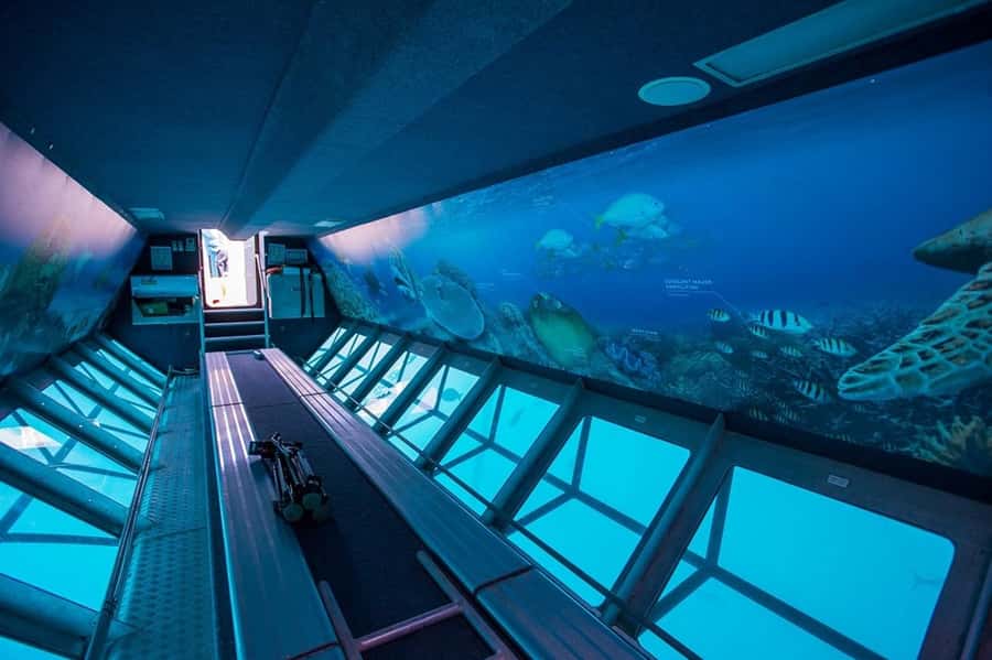 From Airlie Beach: Great Barrier Reef Adventure Cruise - Who will enjoy this full-day reef trip