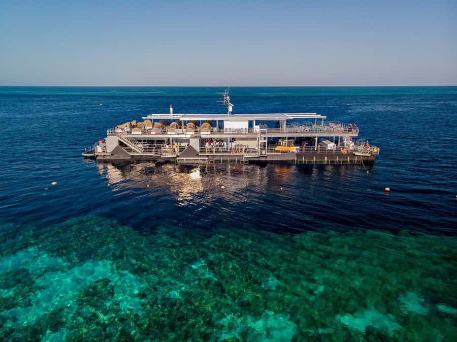 From Airlie Beach: Great Barrier Reef Adventure Cruise - Reefworld pontoon gives you room to choose