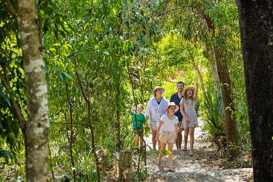 From Airlie: Whitsundays and Whitehaven Half-Day Cruise - Should you book it?