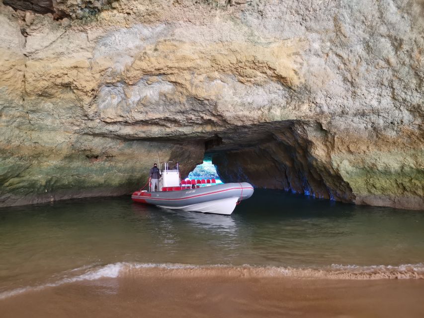 From Albufeira: Benagil Caves and Dolphins Guided Boat Tour - Leaving Albufeira Marina for the Benagil Coast