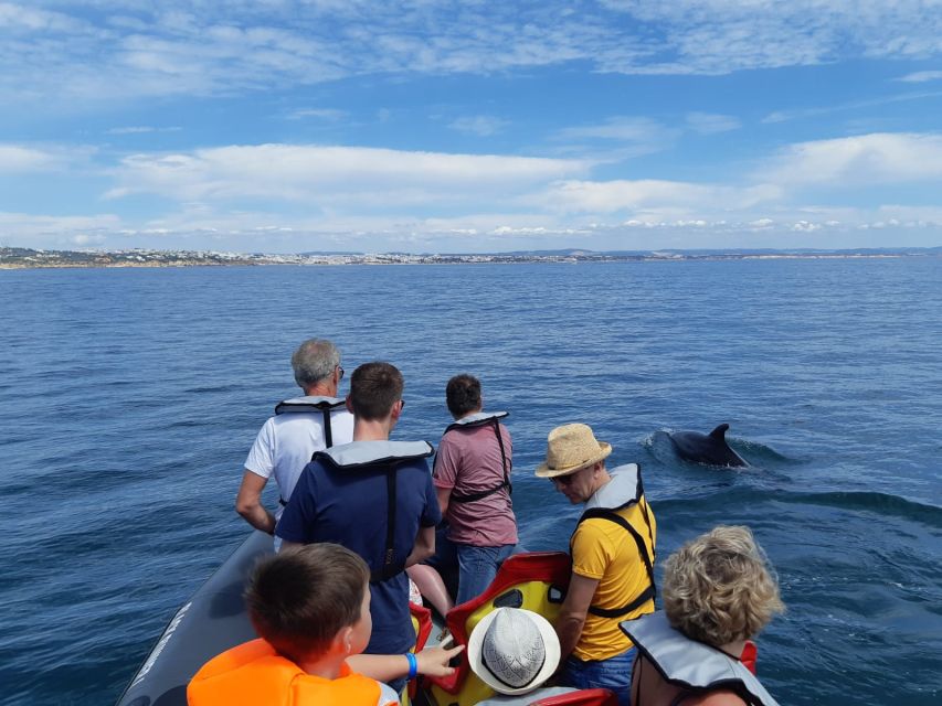 From Albufeira: Benagil Caves and Dolphins Guided Boat Tour - FAQ