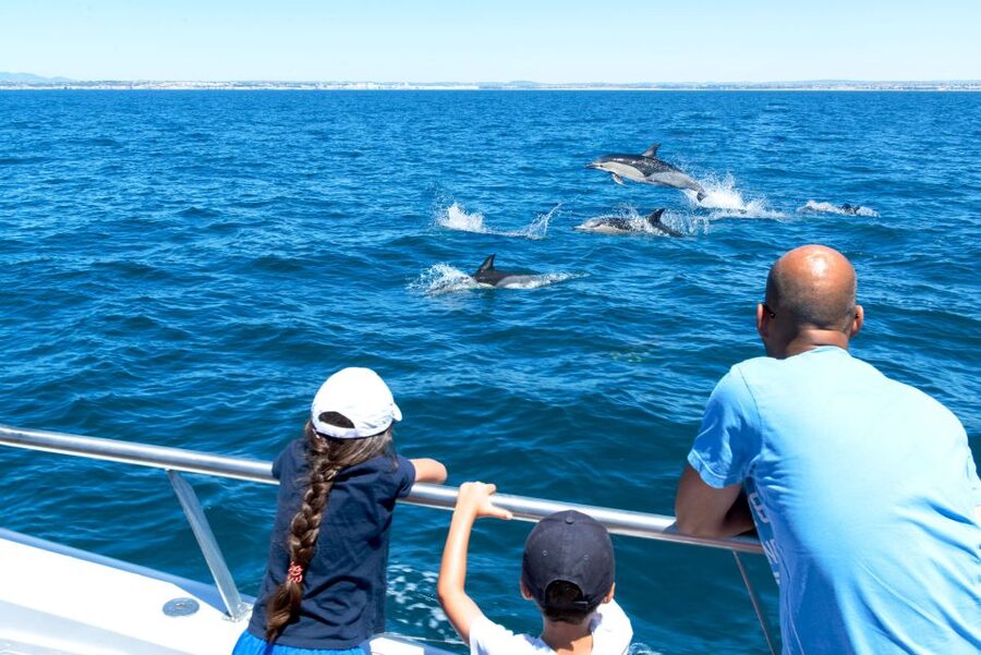 From Albufeira: Dolphins and Caves 2.5-Hour Boat Trip - Practical advice for a better outing