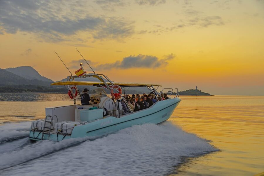 From Alcudia: Sunrise Dolphin Watching Boat Tour - Is $93 a fair price?