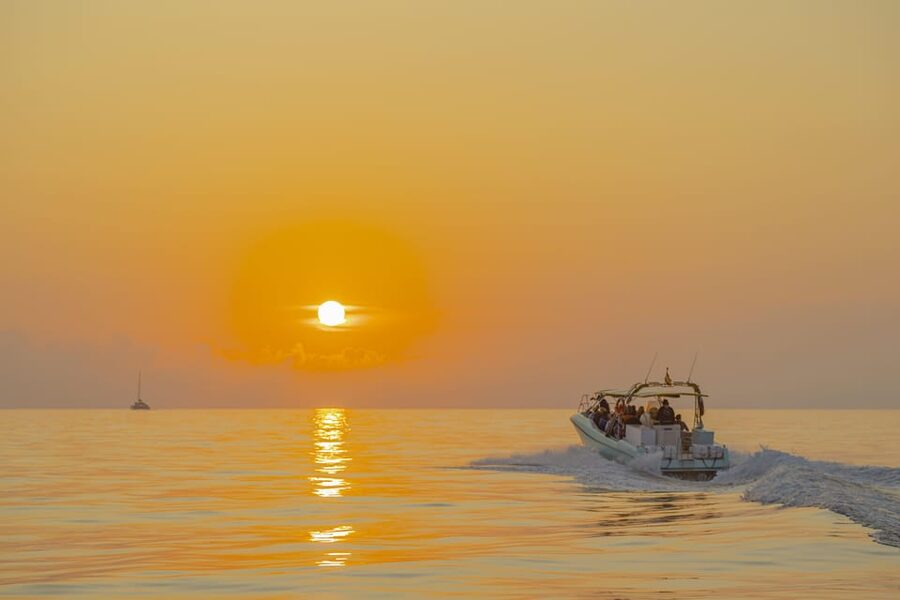 From Alcudia: Sunrise Dolphin Watching Boat Tour - Practical tips for a better outing