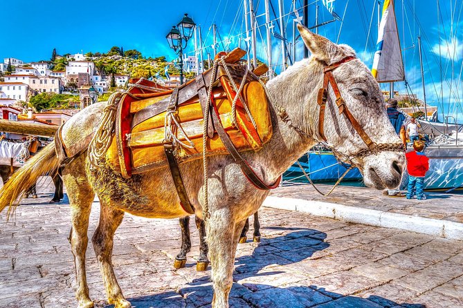 From Athens: Hydra, Poros, and Aegina Day Cruise with Lunch - What this Athens island cruise really offers